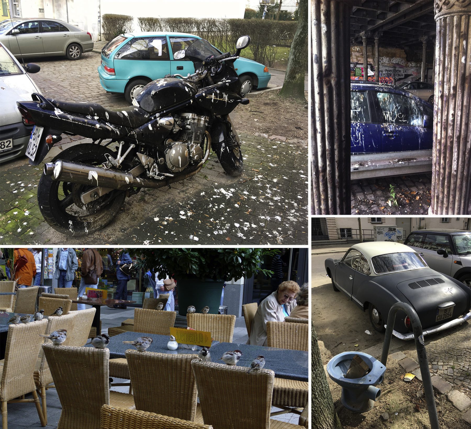 Gleimbrücke, Vogelkot, Spatzen