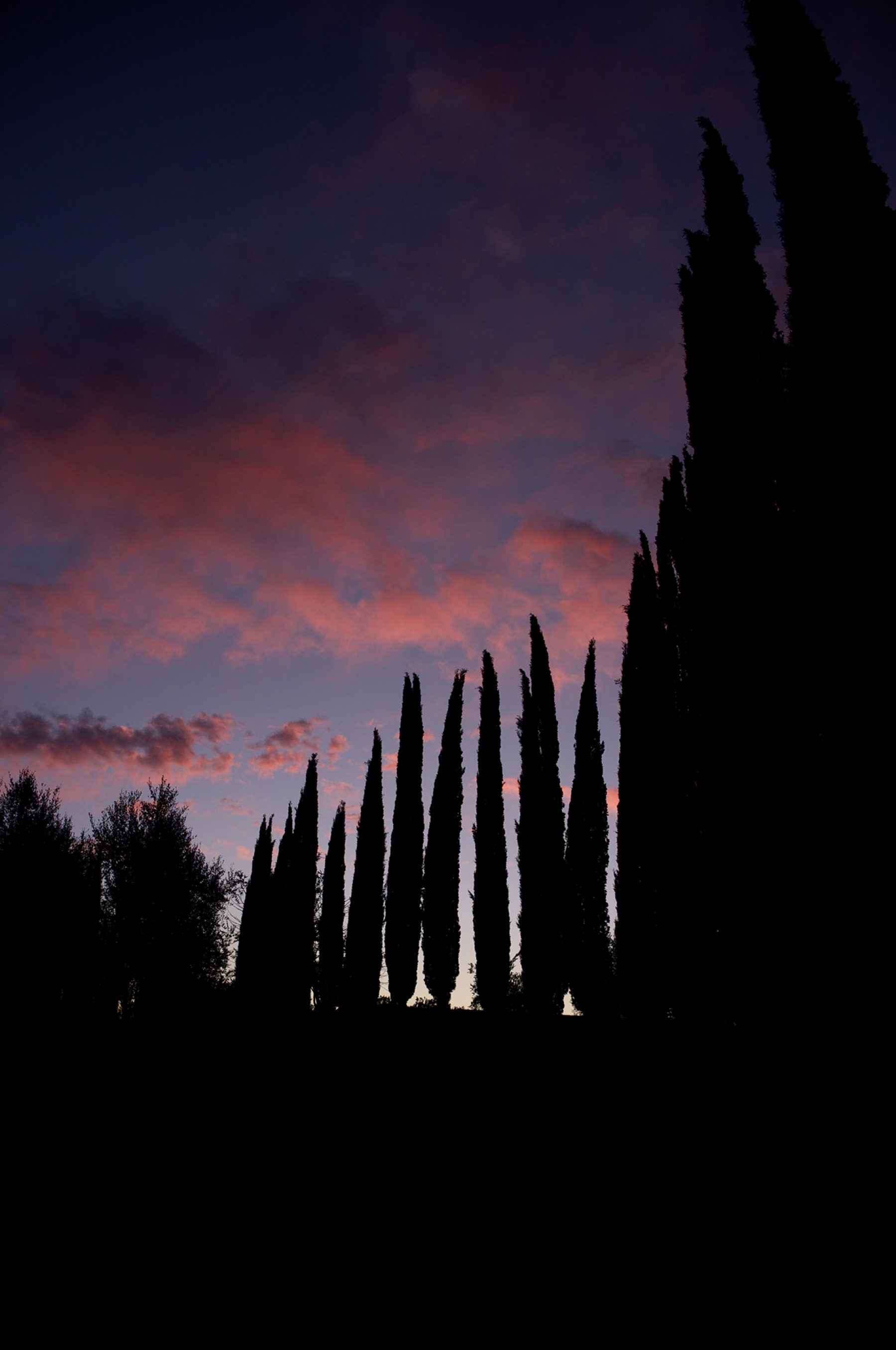 Toskana, Sonnenuntergang, Zypressen