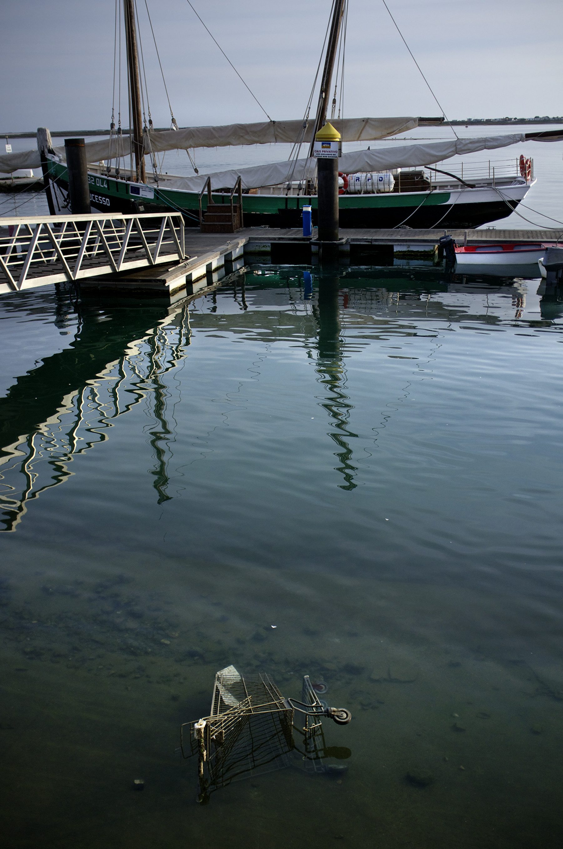 Einkaufswagen im Wasser