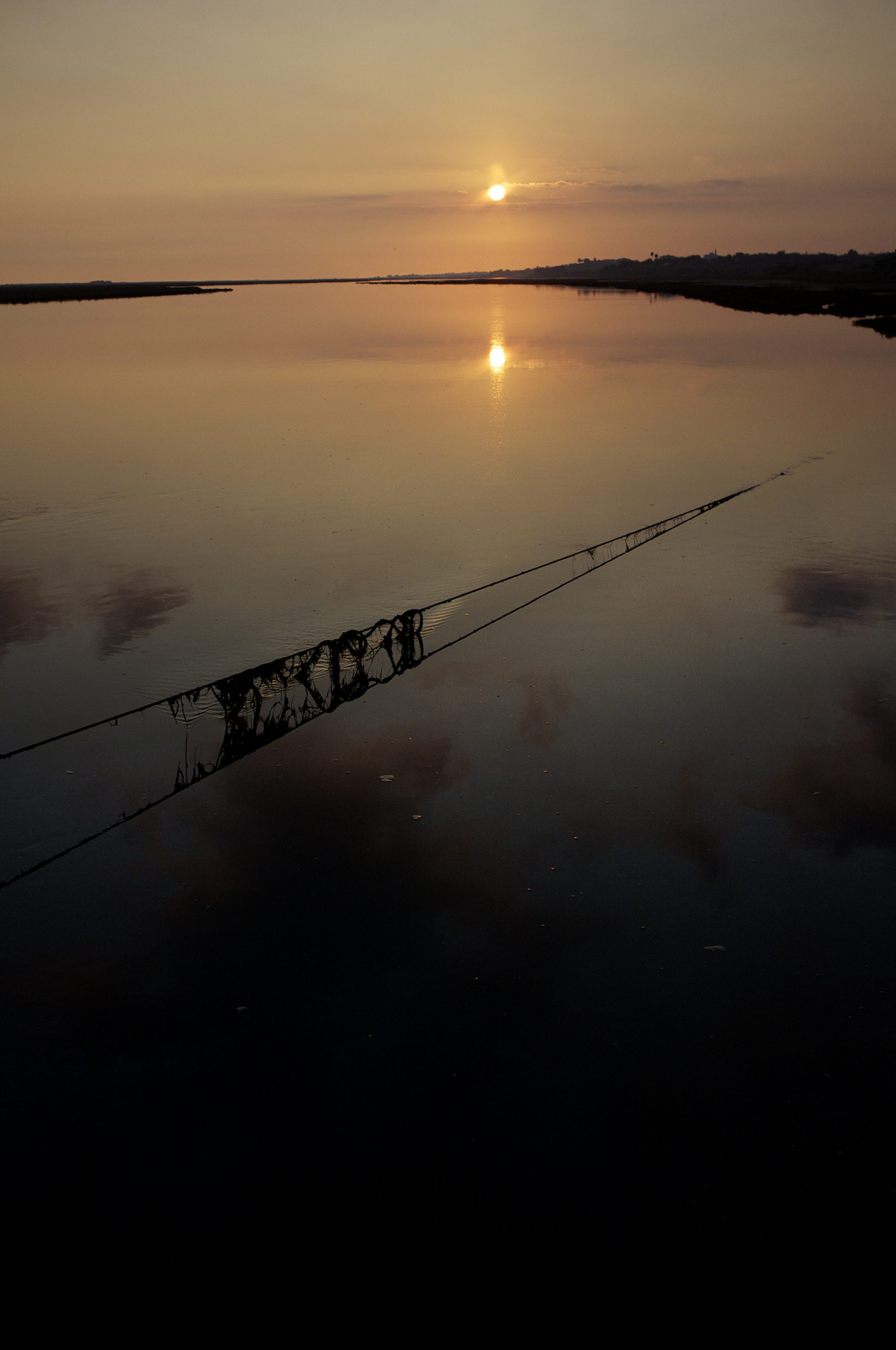 Sonnenuntergang Netze