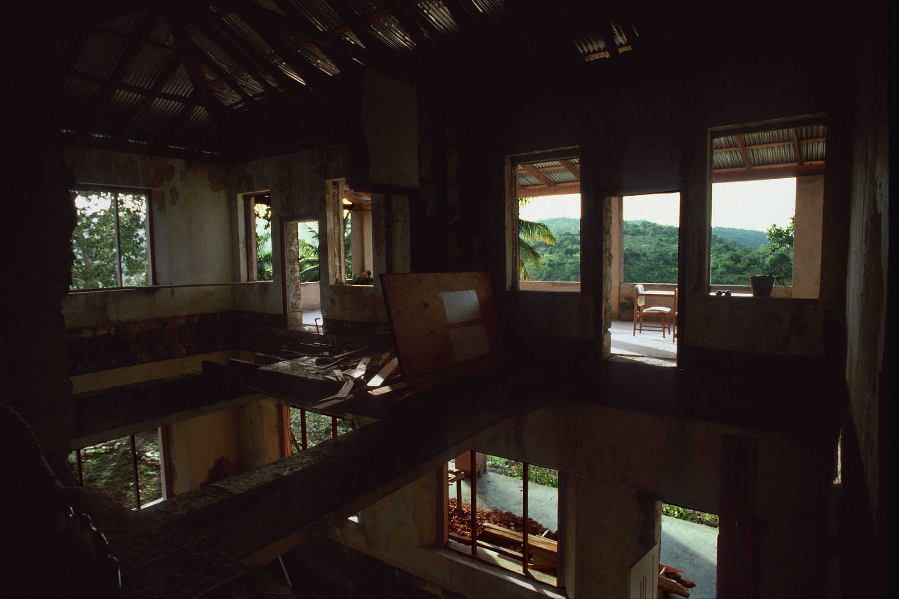 Jamaika, Dschungel, Hausskelett