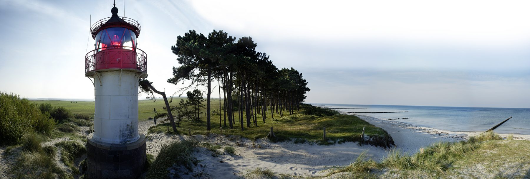 Hiddensee, Leuchtfeuer, Insel, Strand, Kiefern